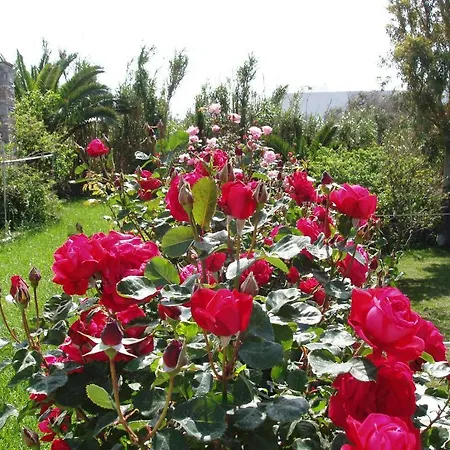 Apartmán Parathyro Sto Aigaio 1