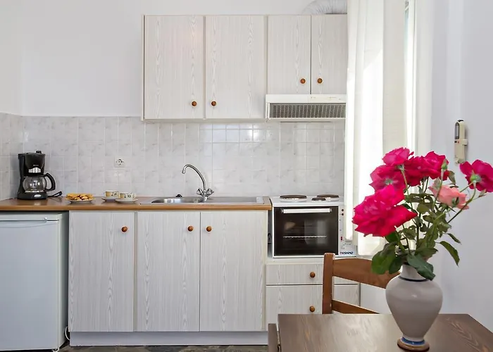 Apartamento Parathyro Sto Aigaio 1 Tínos