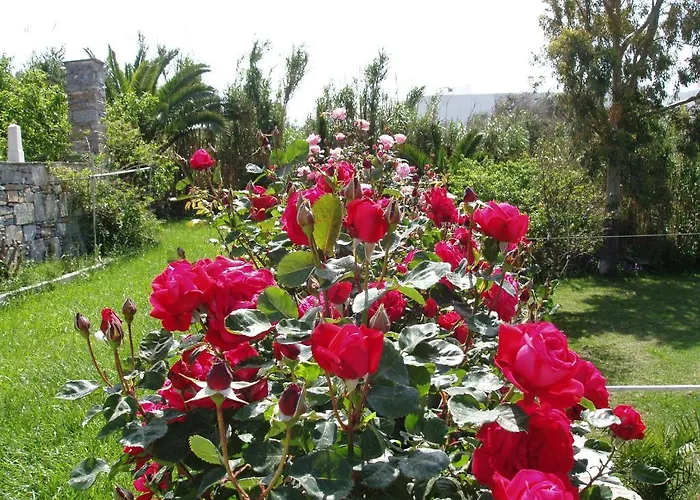 Apartamento Parathyro Sto Aigaio 1